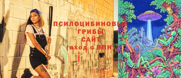 индика Белокуриха
