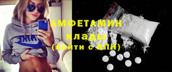 индика Белокуриха
