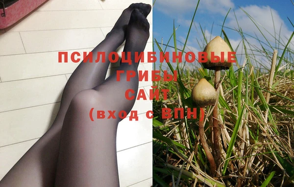 индика Белокуриха