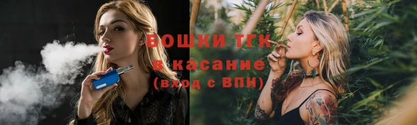 прущие грибы Беломорск