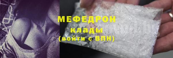 индика Белокуриха