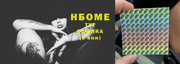 индика Белокуриха
