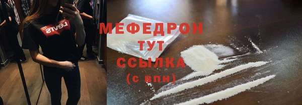 мдпв Богородицк