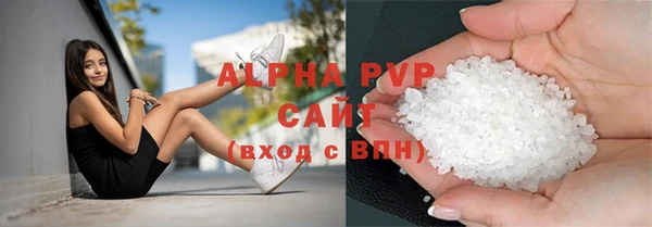 индика Белокуриха