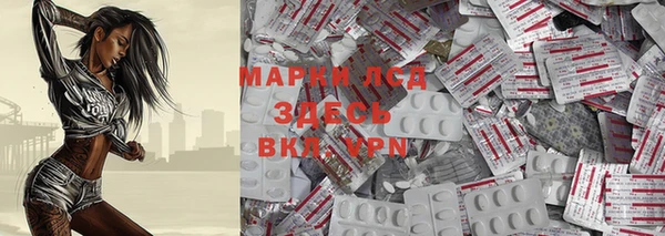 индика Белокуриха