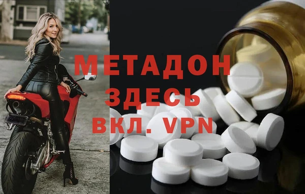 прущие грибы Беломорск
