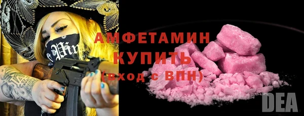 прущие грибы Беломорск